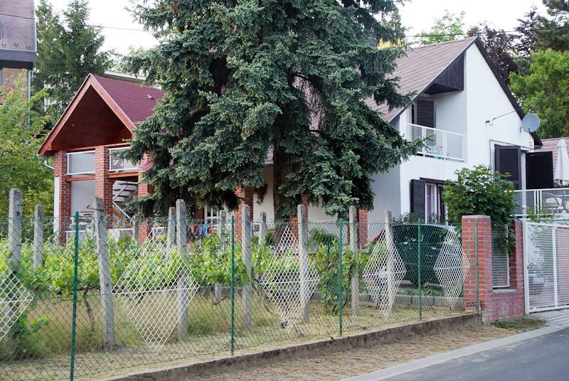 Апартаменти Kincsem Apartman Бадачоньтомай Номер фото